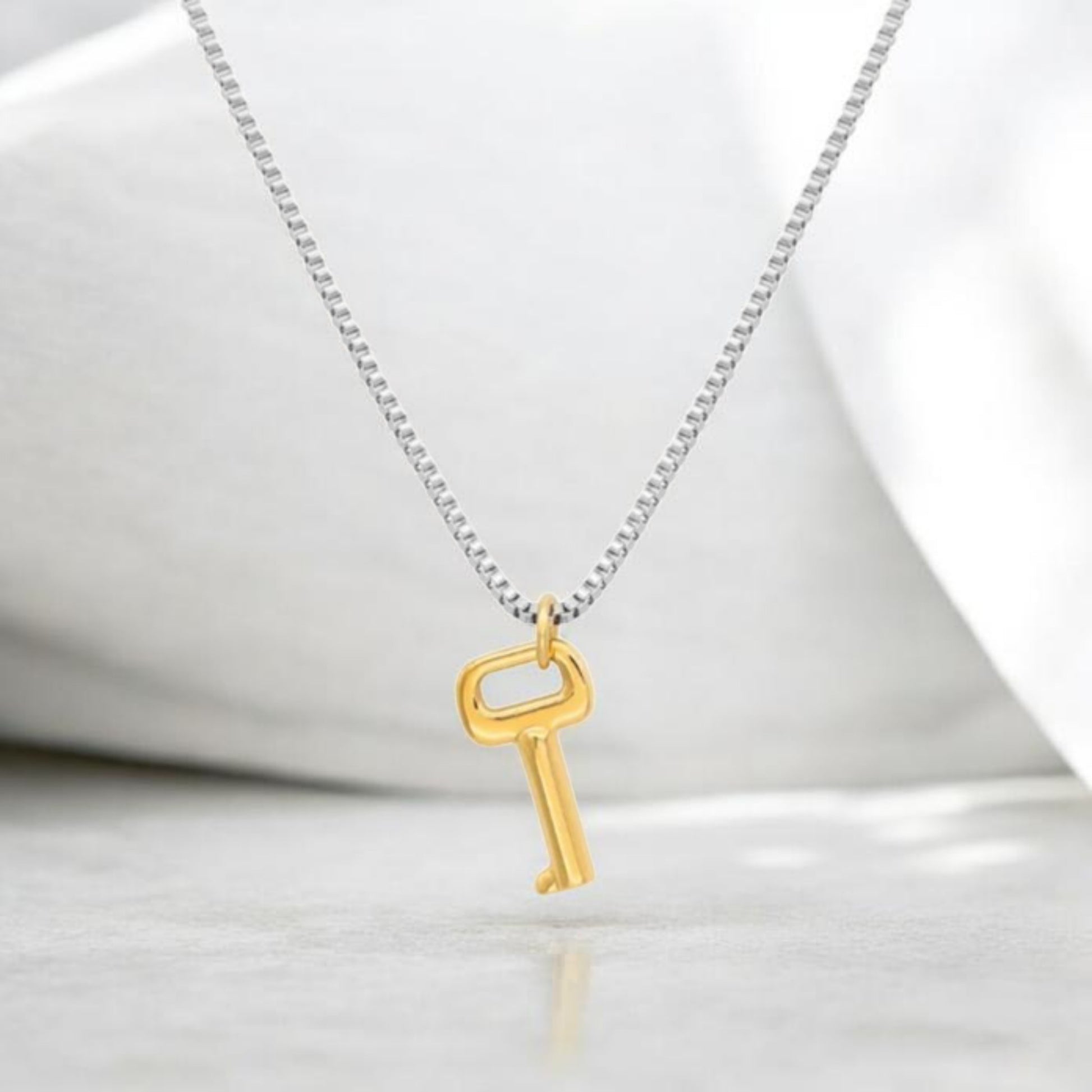 vue d'un bijoux mis en valeur, le collier avec pendentif (la chaine est argenté, et le pendentif en forme de clé est doré)